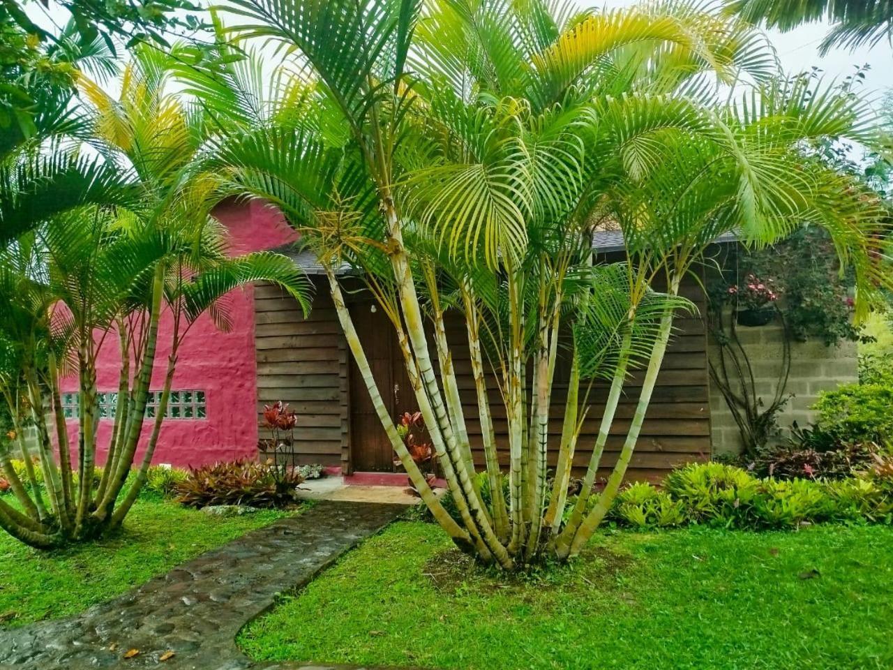 Jardin Utopia Exteriör bild